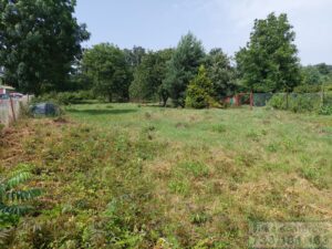 Prodej stavebniho pozemku 813 m2, Lichnov, okres Bruntal 1