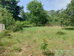 Prodej stavebniho pozemku 813 m2, Lichnov, okres Bruntal 2