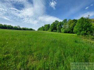 Prodej stavebniho pozemku 927 m2, Sosnova, okres Opava 5