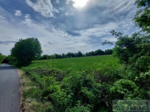 Prodej stavebniho pozemku 927 m2, Sosnova, okres Opava 8